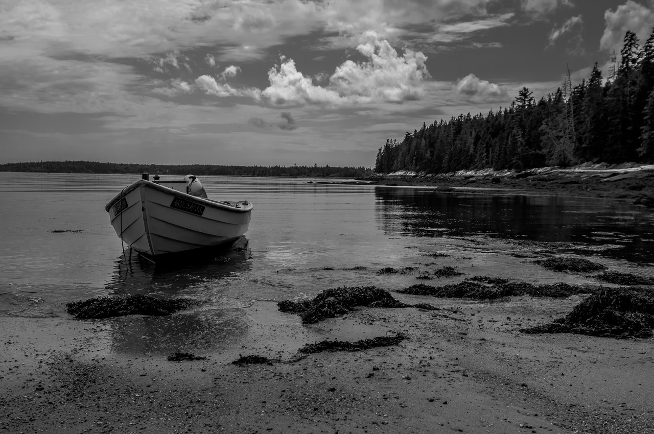 Home banner Boat